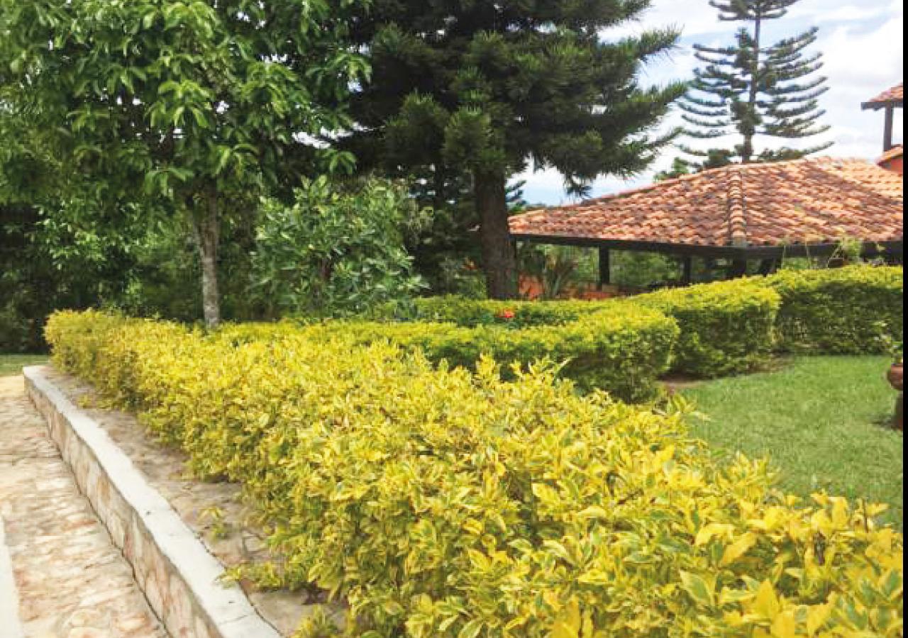 Hotel Cristo Rey Campestre 로스 산토스 외부 사진